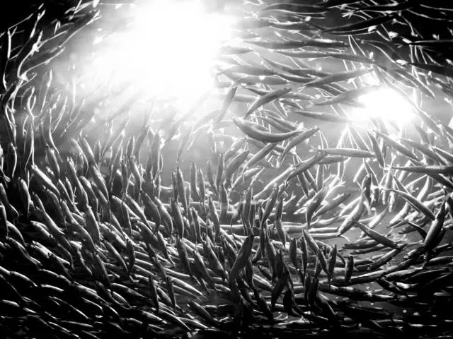 售電公司怎么用流量思維賺錢！