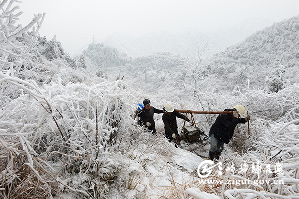 DSC_0289_d1dce836a0a04fa989c1e3f256d16987