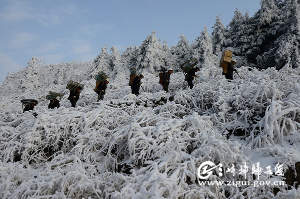 DSC_0565_11a3985fdbda40479c68ed2206e7e273