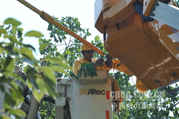 W020170731362925297168