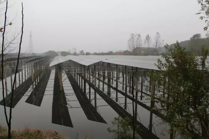  養(yǎng)殖發(fā)電兩不誤瑞元送去清潔電力