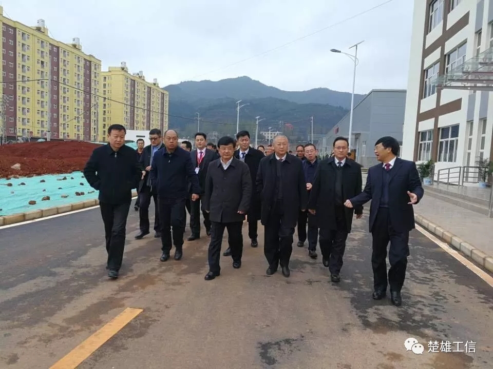 楚雄隆基年產(chǎn)10GW單晶硅片項(xiàng)目竣工投產(chǎn)！