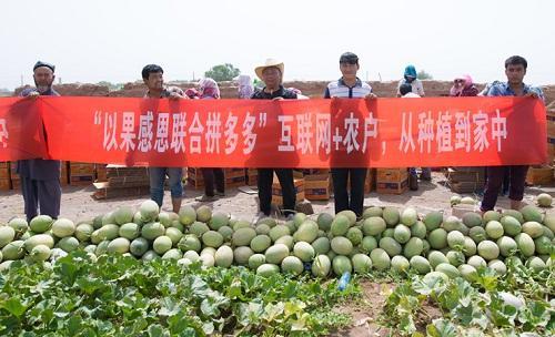 以果沙漠打造互聯(lián)網(wǎng)+訂單農業(yè)