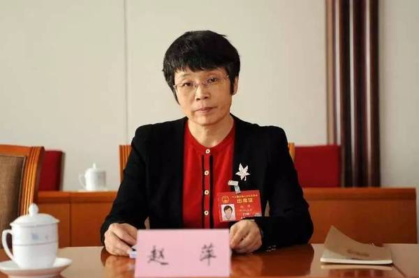 東方風(fēng)電趙萍：海上風(fēng)機大型化是趨勢，中國已落后一步