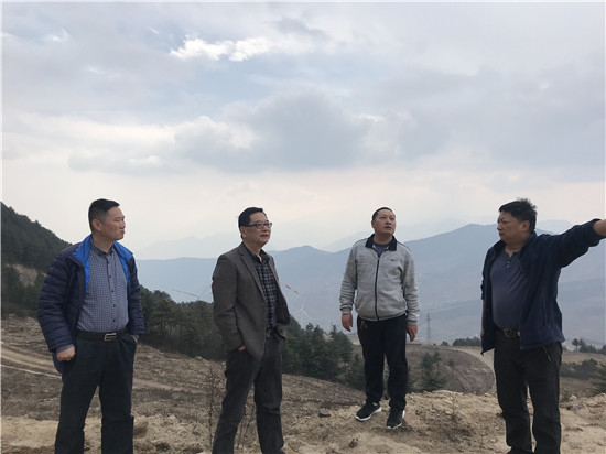 蘭樹林檢察長實(shí)地調(diào)研協(xié)調(diào)解決清溪風(fēng)電建設(shè)遺留問題