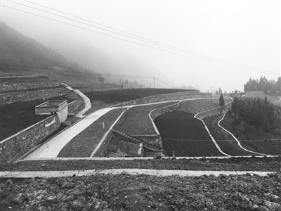 土壤治理修復(fù)的“川味”經(jīng)驗(yàn)