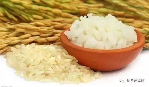 依靠美村網(wǎng)，95后小伙用互聯(lián)網(wǎng)+農(nóng)業(yè)改變農(nóng)產(chǎn)品銷售模式