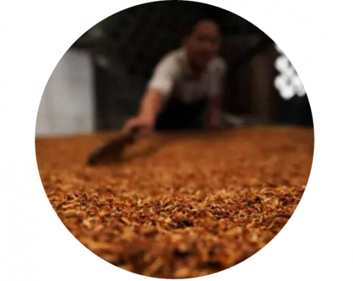 麥田國際——麥田里的守望者，“互聯(lián)網(wǎng)+農(nóng)業(yè)”的先行者