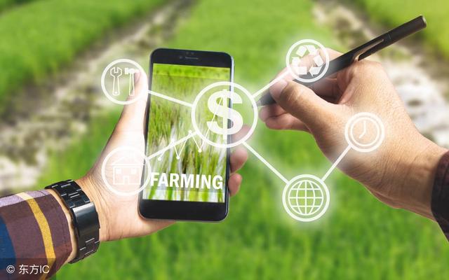 鍵盤(pán)聲替代了麻將聲，互聯(lián)網(wǎng)農(nóng)業(yè)變革正當(dāng)時(shí)