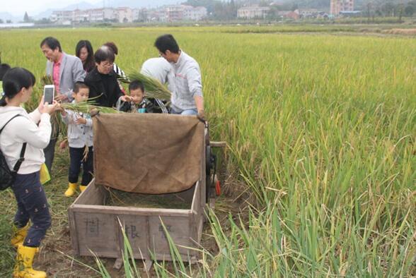 工業(yè)化＋信息化 婺城農(nóng)業(yè)兩化融合走出發(fā)展新路子