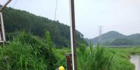 南方電網(wǎng)廣東鶴山供電局：積極應(yīng)對(duì)強(qiáng)降雨，快速處置多起隱患