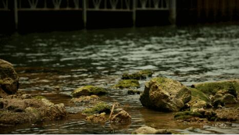 水污染治理市場(chǎng)狂歡背后：環(huán)保企業(yè)如何活出新高度？