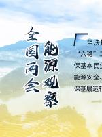 讀圖｜2020政府工作報告中這些內(nèi)容，和能源電力有關(guān)！