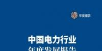 中電聯(lián)發(fā)布《中國(guó)<font color=