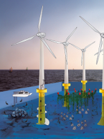 參考 | “海上風(fēng)電+海洋牧場(chǎng)” 精彩圖片分享！